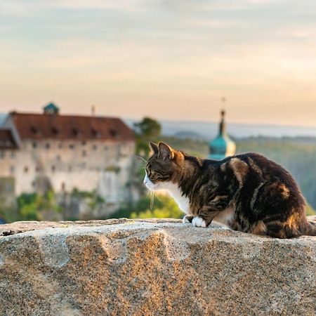 Hotel Zur Aussicht Hohnstein Esterno foto